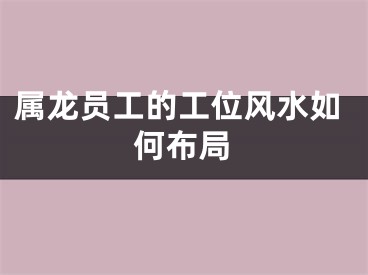 属龙员工的工位风水如何布局