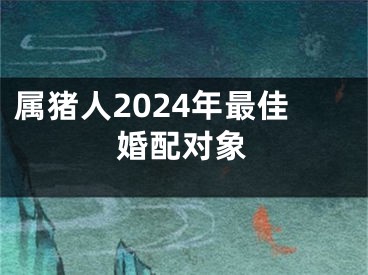 属猪人2024年最佳婚配对象