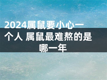 2024属鼠要小心一个人 属鼠最难熬的是哪一年