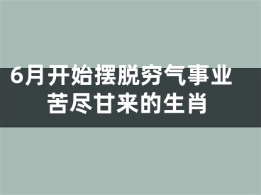 6月开始摆脱穷气事业苦尽甘来的生肖