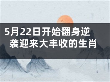 5月22日开始翻身逆袭迎来大丰收的生肖