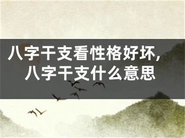 八字干支看性格好坏,八字干支什么意思