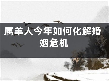 属羊人今年如何化解婚姻危机
