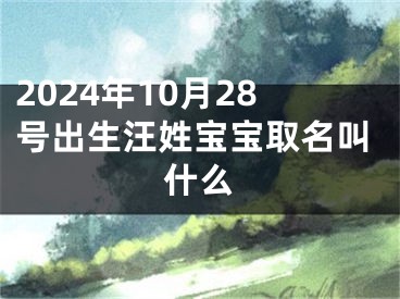 2024年10月28号出生汪姓宝宝取名叫什么