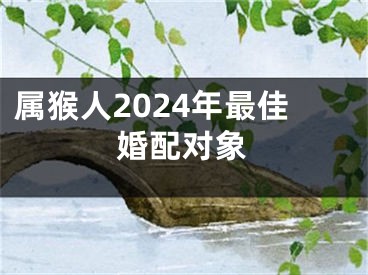 属猴人2024年最佳婚配对象