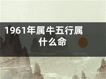 1961年属牛五行属什么命