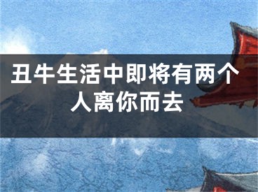丑牛生活中即将有两个人离你而去