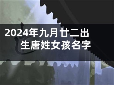 2024年九月廿二出生唐姓女孩名字
