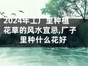 2024年工厂里种植花草的风水宜忌,厂子里种什么花好