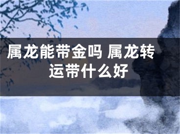 属龙能带金吗 属龙转运带什么好