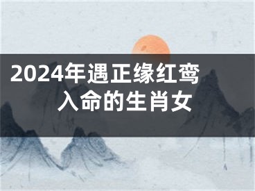 2024年遇正缘红鸾入命的生肖女