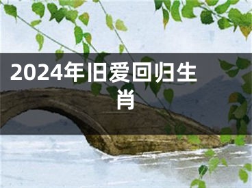 2024年旧爱回归生肖