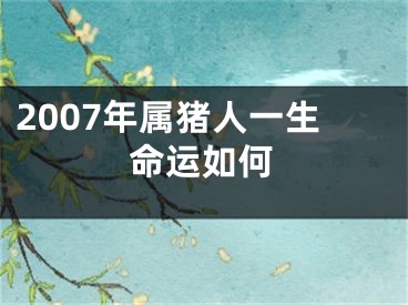 2007年属猪人一生命运如何