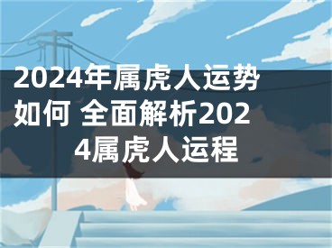 2024年属虎人运势如何 全面解析2024属虎人运程