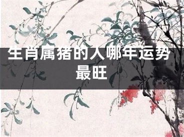 生肖属猪的人哪年运势最旺