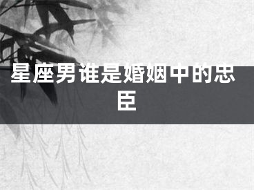 星座男谁是婚姻中的忠臣