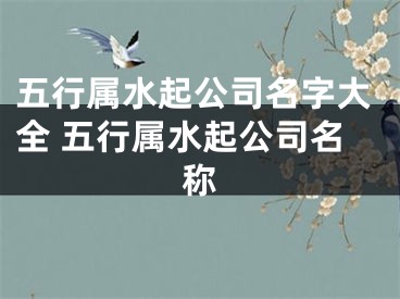 五行属水起公司名字大全 五行属水起公司名称