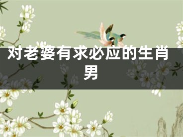 对老婆有求必应的生肖男