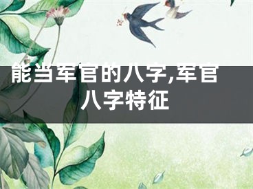能当军官的八字,军官八字特征