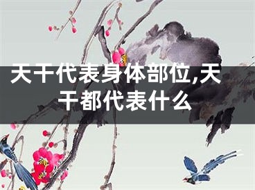 天干代表身体部位,天干都代表什么