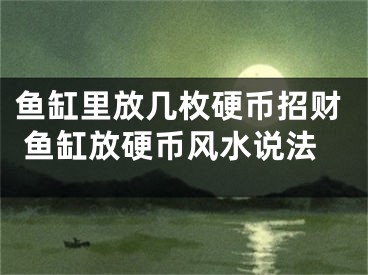 鱼缸里放几枚硬币招财 鱼缸放硬币风水说法