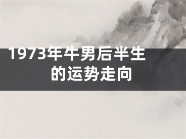 1973年牛男后半生的运势走向