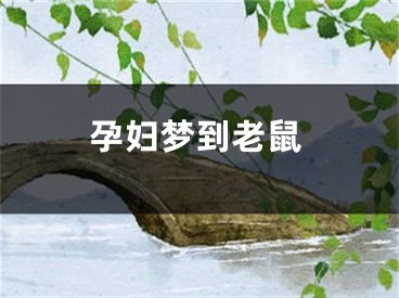 孕妇梦到老鼠