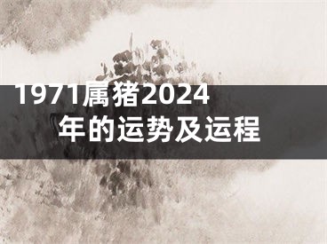 1971属猪2024年的运势及运程