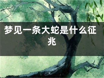 梦见一条大蛇是什么征兆