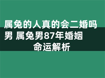 属兔的人真的会二婚吗男 属兔男87年婚姻命运解析