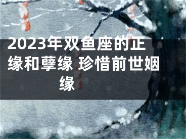 2023年双鱼座的正缘和孽缘 珍惜前世姻缘 　　