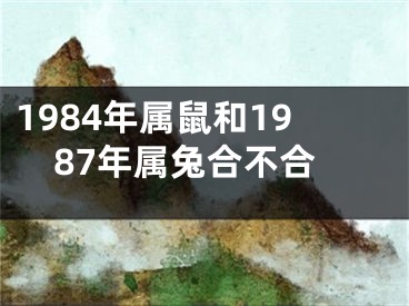 1984年属鼠和1987年属兔合不合