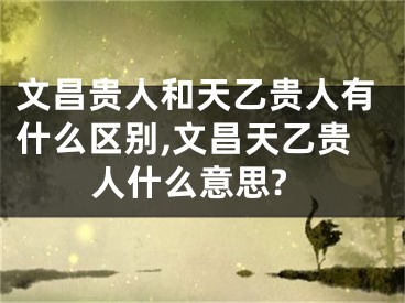 文昌贵人和天乙贵人有什么区别,文昌天乙贵人什么意思?