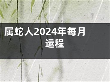 属蛇人2024年每月运程