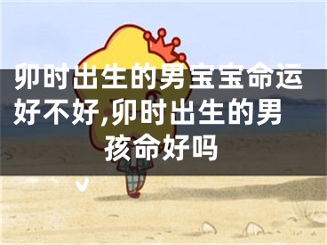 卯时出生的男宝宝命运好不好,卯时出生的男孩命好吗
