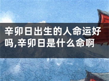 辛卯日出生的人命运好吗,辛卯日是什么命啊