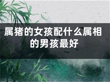 属猪的女孩配什么属相的男孩最好
