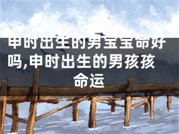 申时出生的男宝宝命好吗,申时出生的男孩孩命运