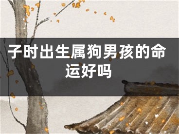 子时出生属狗男孩的命运好吗