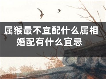 属猴最不宜配什么属相 婚配有什么宜忌