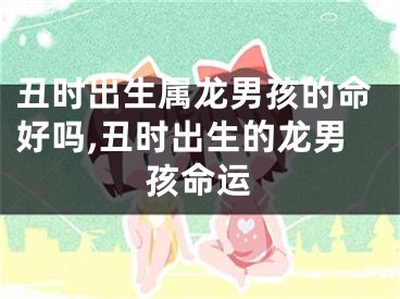 丑时出生属龙男孩的命好吗,丑时出生的龙男孩命运
