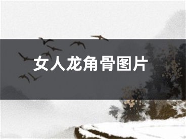 女人龙角骨图片