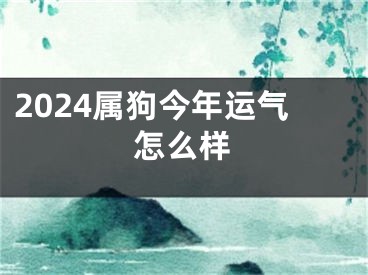 2024属狗今年运气怎么样