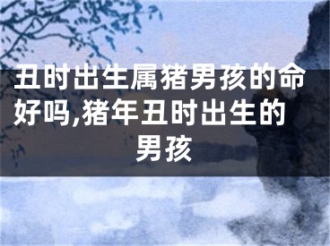 丑时出生属猪男孩的命好吗,猪年丑时出生的男孩