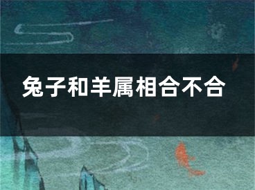 兔子和羊属相合不合