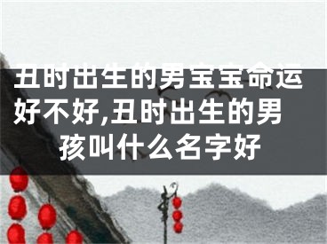 丑时出生的男宝宝命运好不好,丑时出生的男孩叫什么名字好