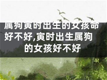 属狗寅时出生的女孩命好不好,寅时出生属狗的女孩好不好