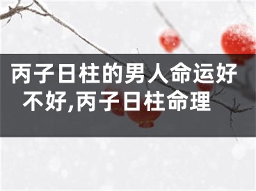 丙子日柱的男人命运好不好,丙子日柱命理