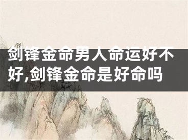 剑锋金命男人命运好不好,剑锋金命是好命吗