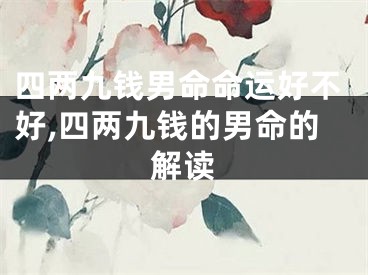 四两九钱男命命运好不好,四两九钱的男命的解读